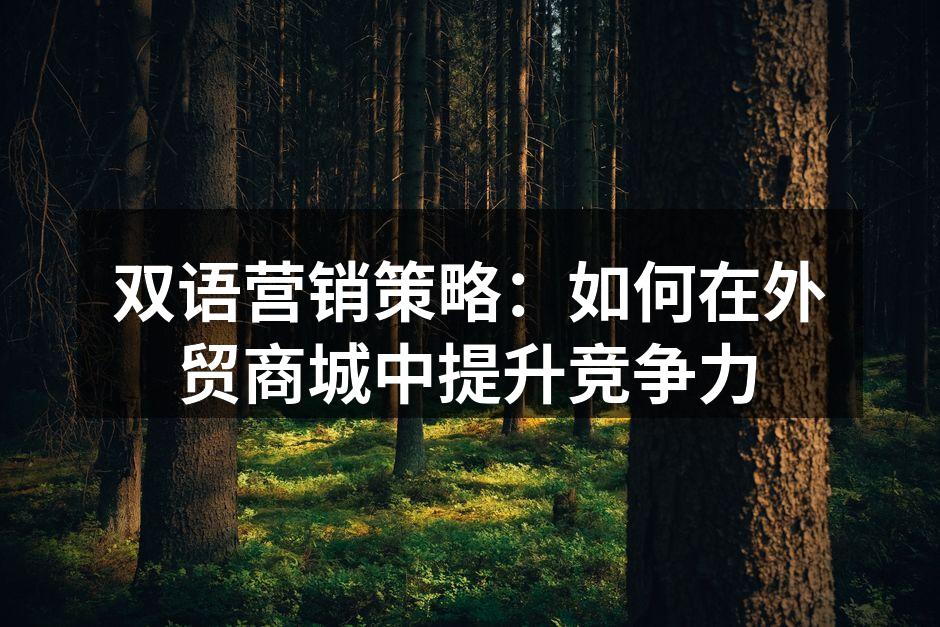 双语营销策略：如何在外贸商城中提升竞争力